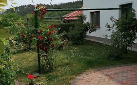 Ferienhaus Putzke